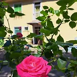 Balaton Panzio 3*