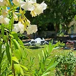 Balaton Panzio Bed & Breakfast