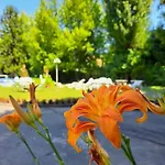 Balaton Panzio Bed & Breakfast Siófok