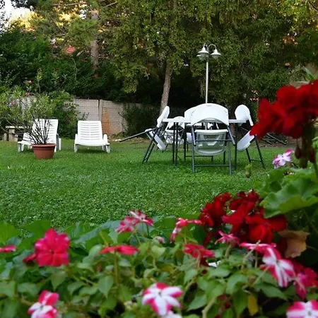 Balaton Panzio 3* שיופוק