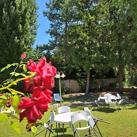 Balaton Panzio לינה וארוחת בוקר