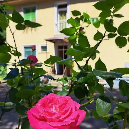 Balaton Panzió 3*