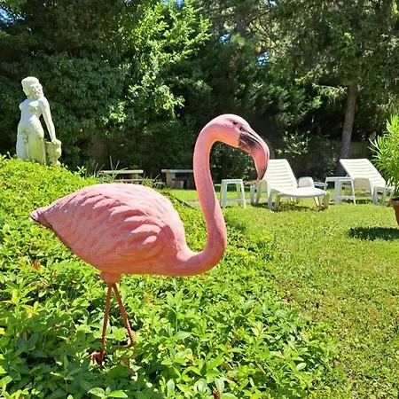 Balaton Panzio לינה וארוחת בוקר 3*