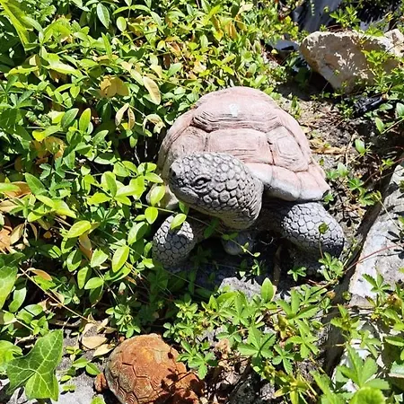 ベッド・アンド・ブレックファスト Balaton Panzio シオーフォク