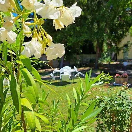 Balaton Panzió Bed and breakfast