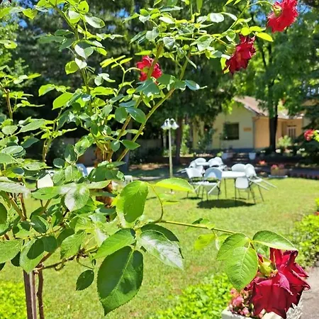 לינה וארוחת בוקר Balaton Panzio שיופוק