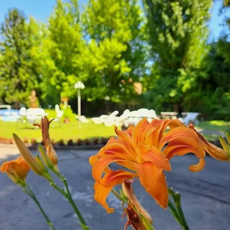 Balaton Panzio לינה וארוחת בוקר שיופוק