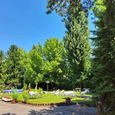 לינה וארוחת בוקר Balaton Panzio 3*