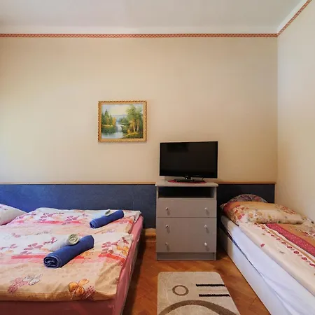 Balaton Panzio לינה וארוחת בוקר שיופוק