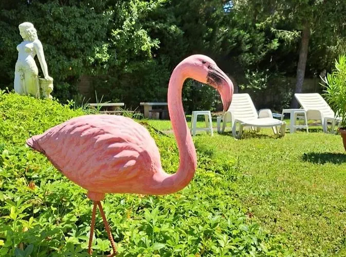 Balaton Panzió Panzió 3*