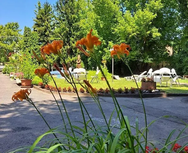 Balaton Panzio ベッド・アンド・ブレックファスト 3*