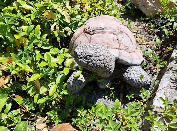 Panzió Balaton Panzió Siófok