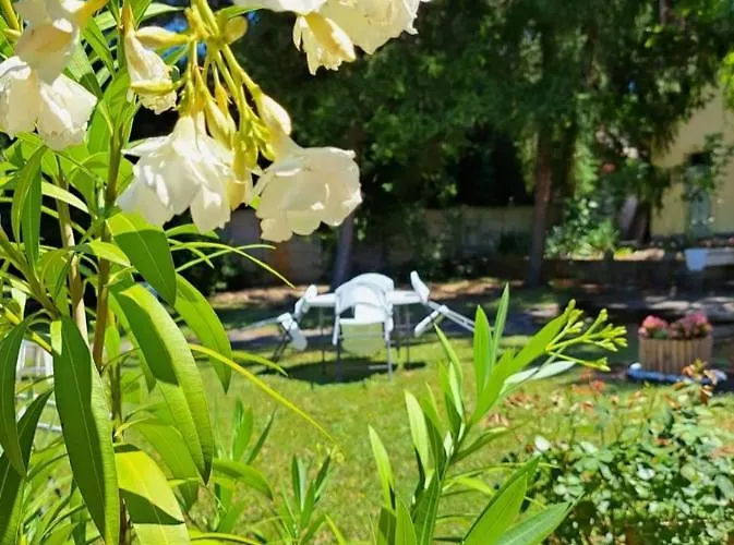 Balaton Panzió Panzió