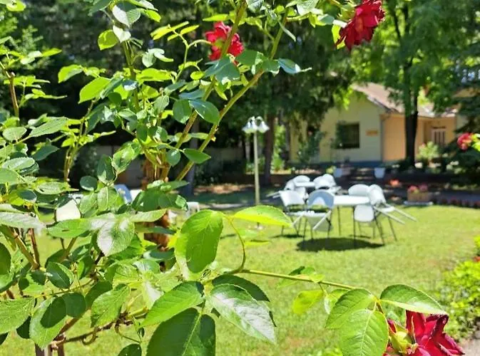 Panzió Balaton Panzió Siófok