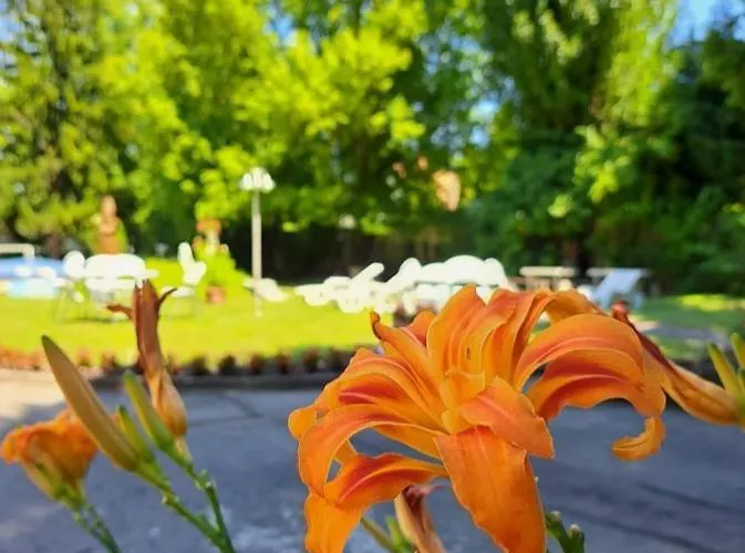 Balaton Panzio ベッド・アンド・ブレックファスト シオーフォク