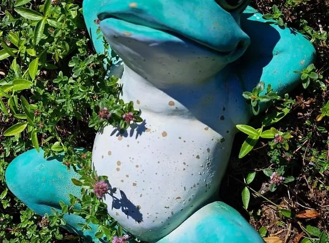 ベッド・アンド・ブレックファスト Balaton Panzio 3*