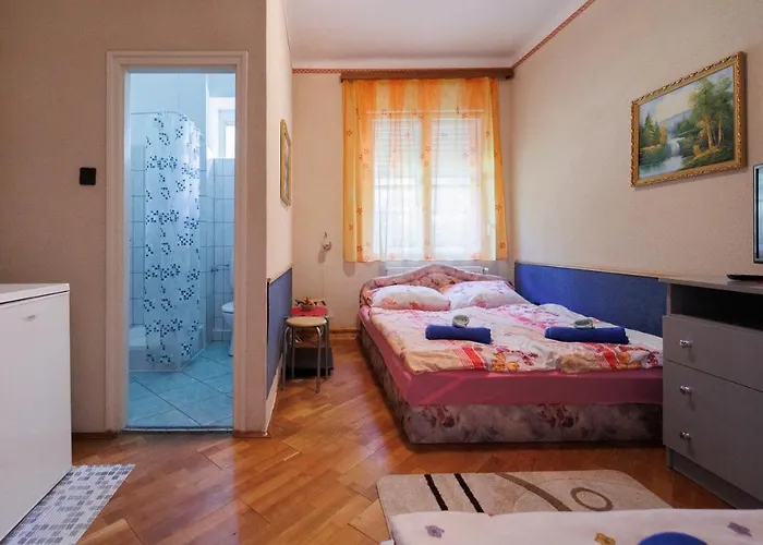 Balaton Panzio 3* シオーフォク